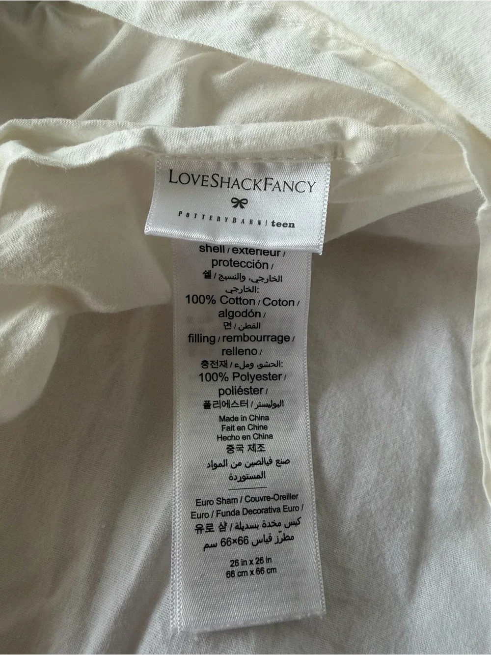 Two Pottery Barn Teen Love shack fancy collab euro sham